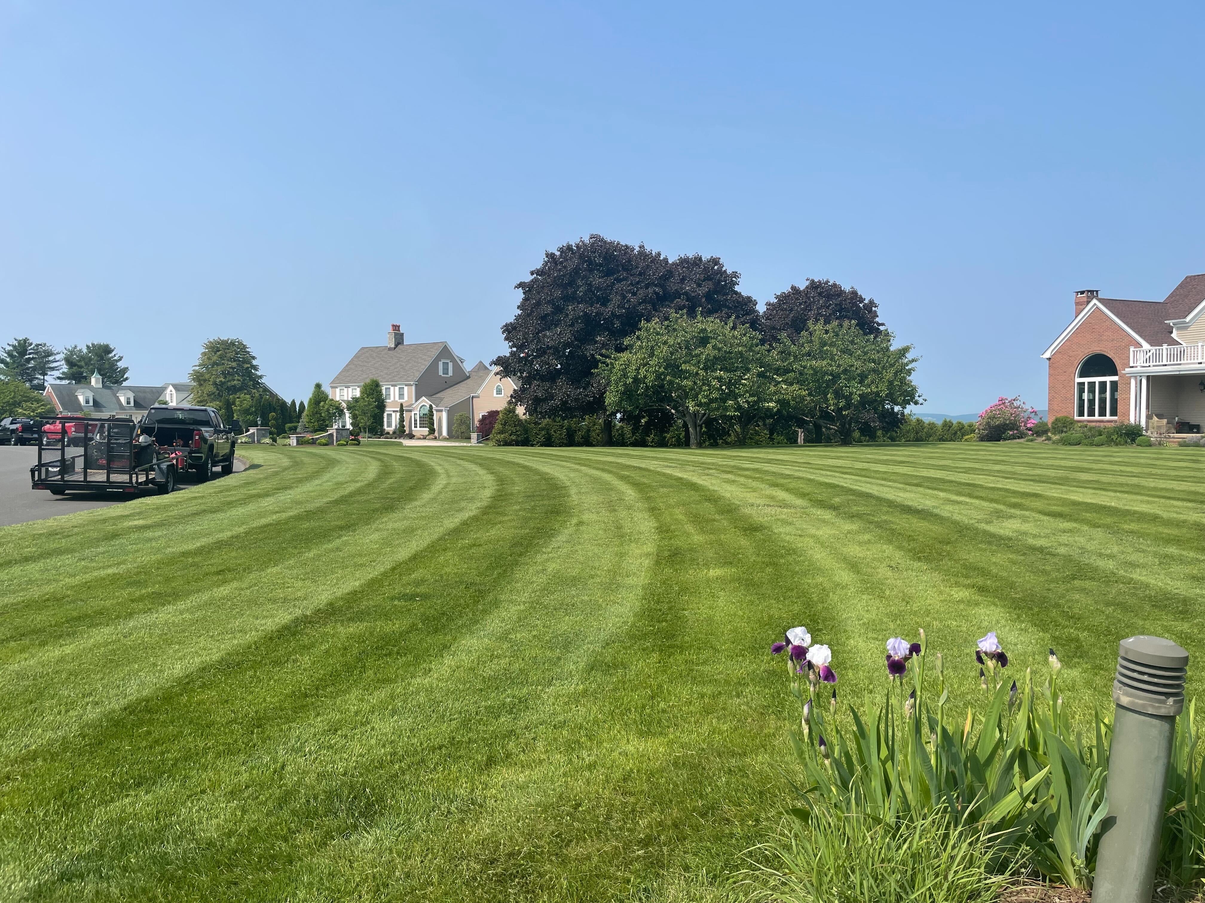 Professionally maintained residential and commercial lawn in Wallingford, Connecticut